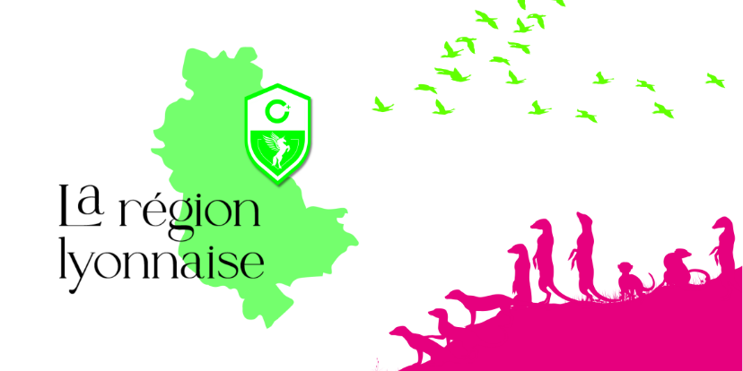 La région lyonnaise